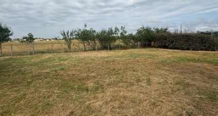 Plaisance-du-Touch Terrain à bâtir - 2412726-9555annonce120260130GKyll.jpeg Maisons Open