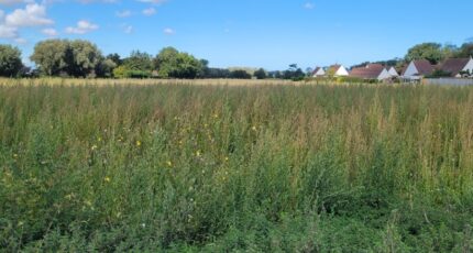 Nortkerque Terrain à bâtir - 2413775-1587annonce220260130vktLm.jpeg Maisons Open