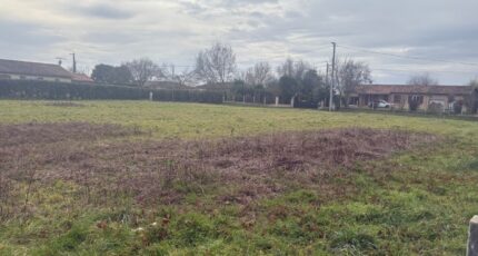 Finhan Terrain à bâtir - 2412966-11356annonce320260130n8lXJ.jpeg Maisons Open