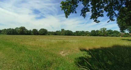 Plaisance-du-Touch Terrain à bâtir - 2413022-10327annonce120260130KAq48.jpeg Maisons Open