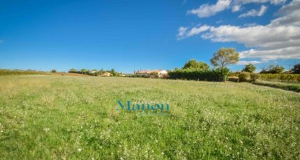 Saint-Pargoire Terrain à bâtir - 2415405-11018annonce420251009RTJI8.jpeg Maisons Open