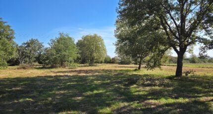 Seysses Terrain à bâtir - 2414866-10326annonce2202602020QLx2.jpeg Maisons Open