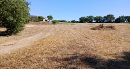 Vérargues Terrain à bâtir - 2416647-11040annonce1202602035DDmG.jpeg Maisons Open