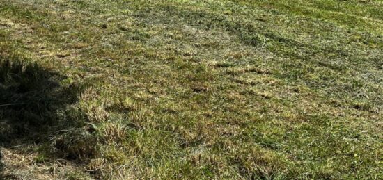 Terrain à bâtir à Mesnac, Nouvelle-Aquitaine