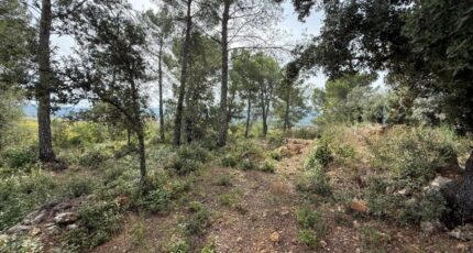 Belgentier Terrain à bâtir - 2417882-11136annonce120260204u0vM8.jpeg Maisons Open