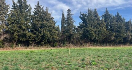 Fontvieille Terrain à bâtir - 2418929-11073annonce420260205TrKlD.jpeg Maisons Open