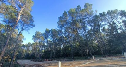 Lorgues Terrain à bâtir - 2419821-9911annonce520260205duDJm.jpeg Maisons Open