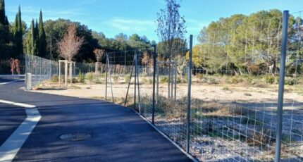 Fuveau Terrain à bâtir - 2416928-11680annonce120260203xGwIb.jpeg Maisons Open