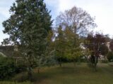  2419553-4684annonce220251119tGNwl.jpeg Maisons Open