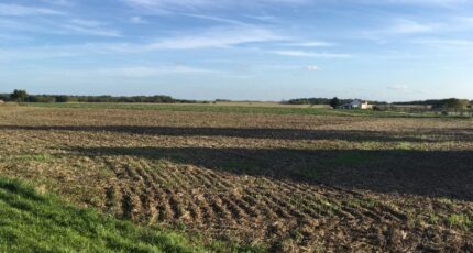 Monnerville Terrain à bâtir - 2419578-10545annonce12025101368chH.jpeg Maisons Open