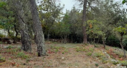 Saint-Maximin-la-Sainte-Baume Terrain à bâtir - 2421984-10744annonce420251019sBduK.jpeg Maisons Open