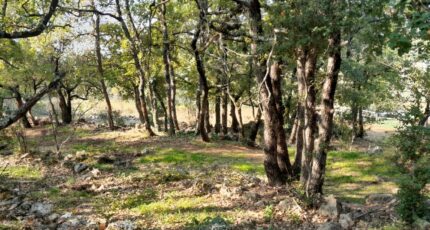 Saint-Maximin-la-Sainte-Baume Terrain à bâtir - 2422000-10744annonce420251019TPAeh.jpeg Maisons Open