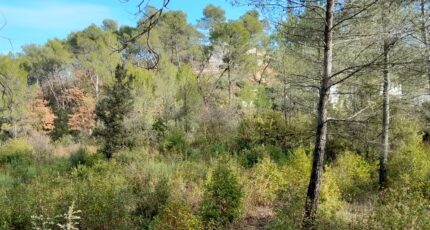 Brignoles Terrain à bâtir - 2422004-10744annonce120251001Ipf7e.jpeg Maisons Open