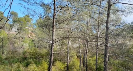 Brignoles Terrain à bâtir - 2422004-10744annonce3202510015lUVV.jpeg Maisons Open