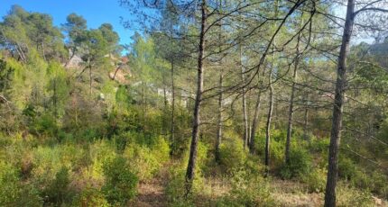 Brignoles Terrain à bâtir - 2422004-10744annonce420251001lZ9pH.jpeg Maisons Open