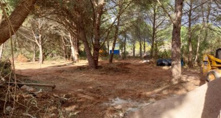 Puget-sur-Argens Terrain à bâtir - 2385752-11157annonce420260108w5GXA.jpeg Maisons Open