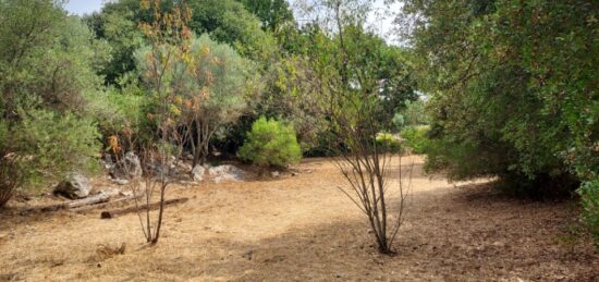 Terrain à bâtir à Camps-la-Source, Provence-Alpes-Côte d'Azur