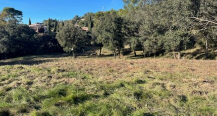 Taradeau Terrain à bâtir - 2422269-10295annonce2202506246C1he.jpeg Maisons Open