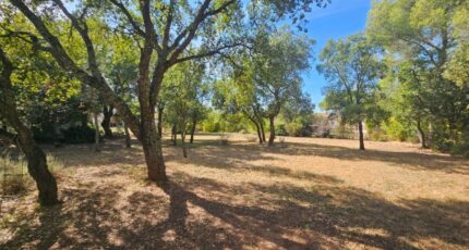 Le Cannet-des-Maures Terrain à bâtir - 2422281-10295annonce120250922ND580.jpeg Maisons Open