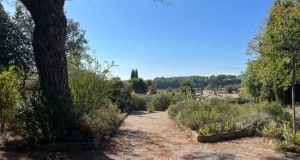 Cuers Terrain à bâtir - 2385809-5622annonce320260108bV7T6.jpeg Maisons Open