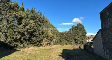 Sarrians Terrain à bâtir - 2386194-695annonce120260108XHOU4.jpeg Maisons Open