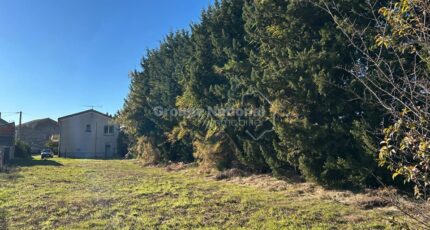 Sarrians Terrain à bâtir - 2386194-695annonce420260108lOmuA.jpeg Maisons Open