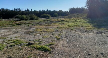 Caumont-sur-Durance Terrain à bâtir - 2385165-695annonce220260108BqT8L.jpeg Maisons Open