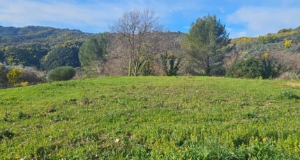 Pégomas Terrain à bâtir - 2423463-11719annonce120260209h69yZ.jpeg Maisons Open