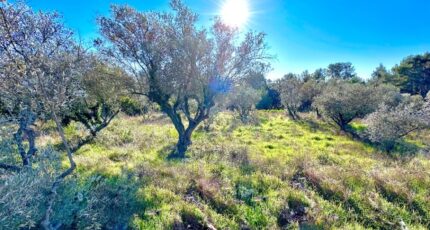 Bagnols-en-Forêt Terrain à bâtir - 2423724-11157annonce220260210ANZWK.jpeg Maisons Open