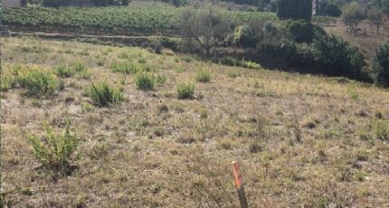 Limoux Terrain à bâtir - 2424845-10986annonce120250626oNJf1.jpeg Maisons Open