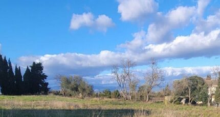 Castelnau-d'Aude Terrain à bâtir - 2424837-10986annonce120250626duRV0.jpeg Maisons Open