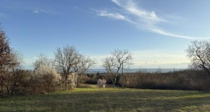 Labécède-Lauragais Terrain à bâtir - 2424852-10986annonce120250626k6fHQ.jpeg Maisons Open