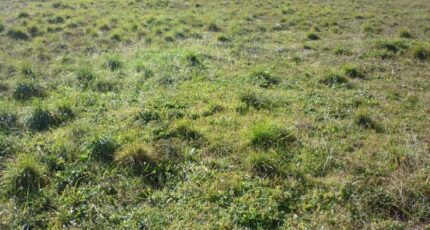 Trausse Terrain à bâtir - 2424952-10986annonce120250701np38F.jpeg Maisons Open