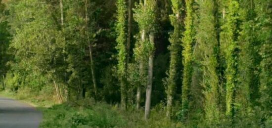 Terrain à bâtir à Ormoy-la-Rivière, Île-de-France