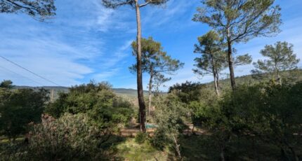 Garéoult Terrain à bâtir - 2426293-10744annonce120260212XgITA.jpeg Maisons Open