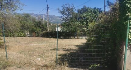 Pertuis Terrain à bâtir - 2426845-10271annonce120260219Hi98R.jpeg Maisons Open