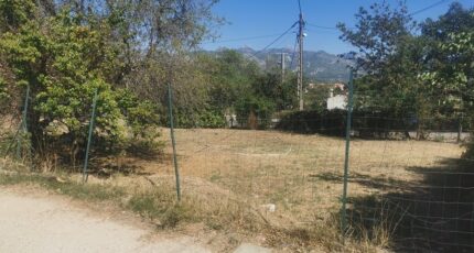 Pertuis Terrain à bâtir - 2426927-10271annonce120260219fQ2R6.jpeg Maisons Open