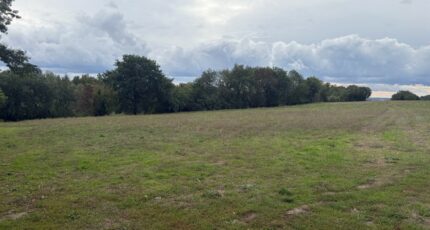 Montastruc-la-Conseillère Terrain à bâtir - 2424876-11356annonce4202602119PJ55.jpeg Maisons Open