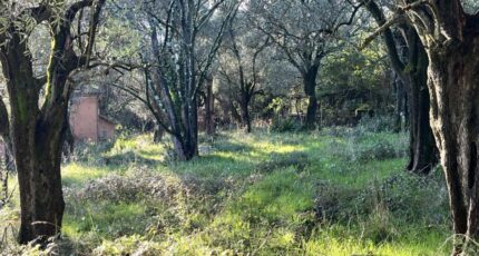 Grasse Terrain à bâtir - 2428284-10140annonce320260213bxfQ2.jpeg Maisons Open