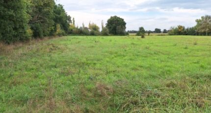 Bragayrac Terrain à bâtir - 2428052-9555annonce120260213EmXzn.jpeg Maisons Open