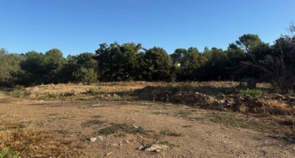 Rocbaron Terrain à bâtir - 2429381-11136annonce120260214TsMVG.jpeg Maisons Open