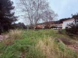  2429673-11136annonce1202602157gEJc.jpeg Maisons Open