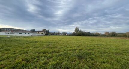 Juillan Terrain à bâtir - 2429939-902annonce120260216aOMzw.jpeg Maisons Open