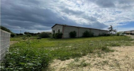 Bize-Minervois Terrain à bâtir - 2429913-10986annonce120251027CENTR.jpeg Maisons Open