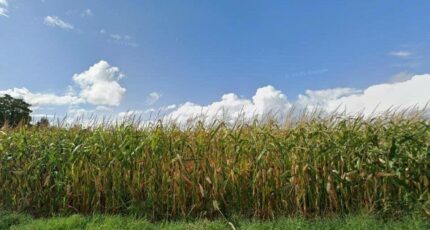 Arpajon Terrain à bâtir - 2430904-4684annonce120260216p86zk.jpeg Maisons Open