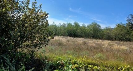 Pézilla-la-Rivière Terrain à bâtir - 2431658-4671annonce120260217u6AN9.jpeg Maisons Open