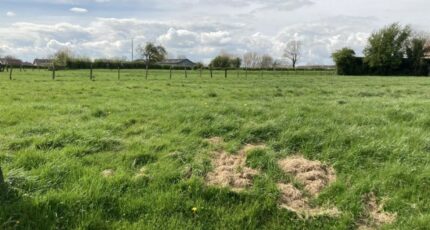 Villers-Châtel Terrain à bâtir - 2431172-5719annonce120260217NqSeG.jpeg Maisons Open