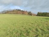  2392679-11662annonce120260114WabQ3.jpeg Maisons Open