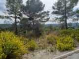  2396223-9911annonce120260116vEZd3.jpeg Maisons Open