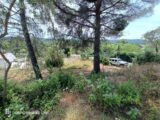  2396223-9911annonce320260116cr1GU.jpeg Maisons Open